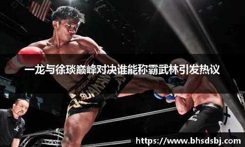 一龙与徐琰巅峰对决谁能称霸武林引发热议